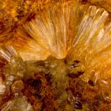 WavellitaAlcor del Roble, Cáceres city, Comarca de Cáceres, Cáceres, Extremadura, SpainFOV 1.2 cm (Autor: Cesar M. Salvan)