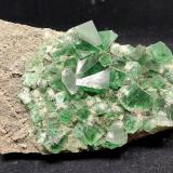 FluoritaMina Rogerley, Frosterley, Weardale, North Pennines Orefield, County Durham, Inglaterra / Reino Unido18 cm (Autor: Cesar M. Salvan)