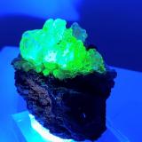 Ópalo (variedad hialita).<br />Hacienda Jaral de Berrio, San Felipe, Municipio San Felipe, Guanajuato, México<br />5x5 cm<br /> (Autor: AntonioJesus)