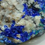 Linarita y brochantita<br />Goulmima, Er Rachidia, Provincia Er Rachidia, Región Drâa-Tafilalet, Marruecos<br />8''5x5 cm<br /> (Autor: AntonioJesus)