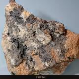 Tenorita<br />Grupo Minero La Cruz, Filón La Cruz, Linares, Comarca Sierra Morena, Jaén, Andalucía, España<br />7 x 7 cm.<br /> (Autor: Felipe Abolafia)