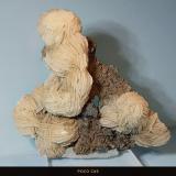 Barita<br />Mina María, Solana del Cabezo de Huércal, Sierra de Enmedio, Almendricos, Lorca, Comarca Alto Guadalentín, Región de Murcia (Murcia), España<br />7,5 x 7 cm.<br /> (Autor: Felipe Abolafia)