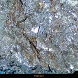 Pirargirita con polibasita, galena y calcopirita<br /><br />6 x 8 x 5 cm.<br /> (Autor: Felipe Abolafia)