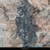 Clorargirita<br />Corta Santa Matilde, grupo minero Berja, Las Herrerías, Sierra Almagrera, Cuevas del Almanzora, Comarca Levante Almeriense, Almería, Andalucía, España<br />8 x 5 cm.<br /> (Autor: Felipe Abolafia)