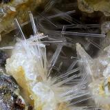 NatrolitaAgua de Bueyes, Antigua, Fuerteventura, Provincia de Las Palmas, Canarias, EspañaCampo de visión de  4 mm. (Autor: Antonio Carmona)