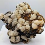 Barita.San Pedro Mine, De Enmedio Range, Almendricos, Lorca, Comarca Alto Guadalentín, Region of Murcia (Murcia), Spain10''5x11 cm (Autor: AntonioJesus)