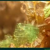 HeinrichitaMina Gnade Gottes, Bocamina Alter Schmiedestollen, Wittichen, Schenkenzell, Rottweil, Selva Negra, Baden-Württemberg, AlemaniaFoV: 1,5 x 1 mm (Autor: Jose Angel Carrero)