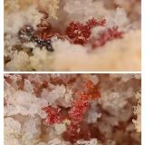 Kremersite<br />Faraglioni Ranni, Vulcano Island, Eolie Islands, Lípari Municipality, Messina Province, Sicily, Italy<br />3x1 mm<br /> (Author: mineralenzo)