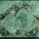 FluoritaPedrera Berta, Turó Can Domènech, Serra Roques Blanques, Sant Cugat del Vallès-El Papiol, Comarca Vallès Occidental / Baix Llobregat, Barcelona, Cataluña / Catalunya, EspañaFoV: 3 x 2 mm (Autor: Jose Angel Carrero)