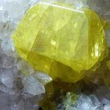 Azufre, CalcitaYazivske sulfur deposit, Yaziv, Novoyavorivsk, Yavoriv Raion, Lviv Oblast, Ukraine5 x 5 cm. la pieza, 1 x 1 cm. el cristal (Autor: javier ruiz martin)
