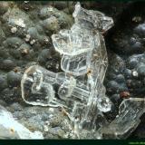 HemimorfitaMina Precaución, Cabezo de San Ginés, El Estrecho de San Ginés, Cartagena, Comarca Campo de Cartagena, Región de Murcia (Murcia), EspañaFoV: 1,5 x 0,9 mm (Autor: Jose Angel Carrero)