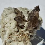 Quartz (variety smokey Quartz), Orthoclase (variety Adularia)Untersulzbach Valley/Untersulzbachtal, Zell am See District, Salzburg, Austria4 x 2,5 cm (Author: Volkmar Stingl)