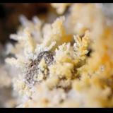 SteropesiteCráter La Fossa, Isla Vulcano, Islas Eolias, Lípari, Provincia Messina, Sicilia, Italia0.5-1 mm (Author: mineralenzo)