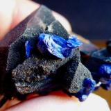 Cuarzo (variedad cristal de roca), Azurita<br />Zona minera Tazalarht, Provincia Taroudant, Region Souss-Massa, Marruecos<br />4 x 3 cm.<br /> (Autor: javier ruiz martin)