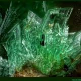 AnnabergitaKm-3 Mine, Lavrion, Lavrion Mining District, Attikí (Attica) Prefecture, GreeceFoV: 1,2 x 0,8 mm (Autor: Jose Angel Carrero)