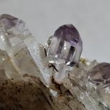 Quartz (variety Amethyst)Saurüssel, Mörchner area, Zemmgrund, Ziller Valley (Zillertal), North Tyrol, Tyrol/Tirol, Austria2 x 1,5 cm (Author: Volkmar Stingl)
