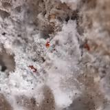 Bismoclite<br />La Fossa crater, Vulcano Island, Eolie Islands, Lípari Municipality, Messina Province, Sicily, Italy<br />0.1-0.4 mm<br /> (Author: mineralenzo)