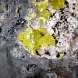 AzufreCáucaso Mine, Conil Mines, Conil de la Frontera, Comarca La Janda, Cádiz, Andalusia, SpainCampo de visión 2 cm. (Autor: Antonio P. López)