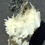 Aragonite (variety Flos Ferri)Pfunds, Landeck District, Tyrol/Tirol, Austria6 x 4 cm (Author: Volkmar Stingl)