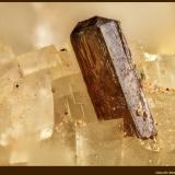 Allanita-(Ce)Trimouns Mine, Luzenac, Haute-Ariège, Foix, Ariège Department, Occitanie, FranceFoV: 1,5 x 0,9 mm (Autor: Jose Angel Carrero)