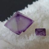 Fluorita, Cuarzo<br />Mina De'an, Wushan, De'an, Prefectura Jiujiang, Provincia Jiangxi, China<br />12 x 7 cm. la pieza, 0,6 x 0,6 el cristal<br /> (Autor: javier ruiz martin)
