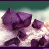 Fluorita<br />Mina De'an, Wushan, De'an, Prefectura Jiujiang, Provincia Jiangxi, China<br />FoV: 30 x 20 mm<br /> (Autor: Jose Angel Carrero)