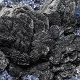 Wurtzita con GalenaÁnimas Mine, Chocaya-Animas mining district, Ánimas, Chocaya, Municipio Atocha, Sud Chichas Province, Potosí Department, Boliviacristal principal: 2.6 × 1.7 cm (Autor: Jordi Fabre)