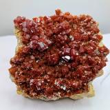 Vanadinita.Mibladen (Mibladen mining district), Midelt, Midelt Province, Drâa-Tafilalet Region, Morocco7x6 cm (Autor: AntonioJesus)