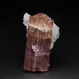 Elbaite, Albite (variety cleavelandite)Mina Himalaya, Gem Hill, Distrito Mesa Grande, San Diego County, California, USA5.6 x 3.4 cm (Author: am mizunaka)