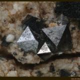 MagnetitaCerro Huañaquino, Paco Grande, Tomás Frías Province, Potosí Department, BoliviaFoV: 2,5 x 1,8 mm (Autor: Jose Angel Carrero)