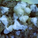 GonnarditeMoiliili Quarry, Honolulu, Oahu, Hawaii, USA1,5 x 1,2 cm (Author: Volkmar Stingl)
