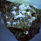 GonnarditeMoiliili Quarry, Honolulu, Oahu Island, Honolulu County, Hawaii, USA1,5 x 1,2 cm (Author: Volkmar Stingl)