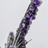 Cosalite with FluoriteMina Solnechnoye, distrito minero Kara-Oba, Desierto Betpak-Dala (Bet-Pak-Dala), Región Karaganda, Kazajstánmain crystal of Cosalite: 4.1 × 0.7 cm (Author: Jordi Fabre)