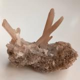 Gypsum<br />Lercara Friddi, Metropolitan City of Palermo Province, Sicily, Italy<br />6x4.5x4 cm (xx 0.3/0.5x4 cm max)<br /> (Author: mineralenzo)