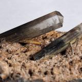 Gypsum<br />Rosignano Marittimo, Livorno Province, Tuscany, Italy<br />7 x 5 cm<br /> (Author: Volkmar Stingl)