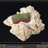 Elbaite (Tourmaline Group)Paprok, Distrito Kamdesh, Provincia Nuristan, Afganistánfov 80 mm (Author: ploum)