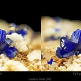 Azurite<br />Mas Dieu, Mercoirol, Alès, Gard, Occitanie, France<br />fov 5.2 mm.<br /> (Author: ploum)