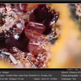 Realgar<br />Getchell Mine, Adam Peak, Potosi District, Osgood Mountains, Humboldt County, Nevada, USA<br />fov 2.6 mm<br /> (Author: ploum)