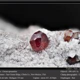 Spessartine (Garnet Group)Sierra East Grants, Condado Cibola, New Mexico, USAfov 5.2 mm (Author: ploum)