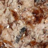 Flogopita.La Celia, Jumilla, Comarca Altiplano, Región de Murcia (Murcia), EspañaEncuadre foto: 3.51 mm. (Autor: Ángel Rodríguez Benavent)