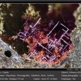 Cuprite<br />Slag dumps, Severinggraben, Johnsbach, Ennstaler Alpen, Styria/Steiermark, Austria<br />fov 2.5 mm<br /> (Author: ploum)