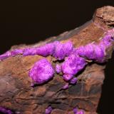 Sugilite<br />N'Chwaning III Mine, N'Chwaning mining area, Kuruman, Kalahari manganese field (KMF), Northern Cape Province, South Africa<br />7.8 x 5.2 cm<br /> (Author: Don Lum)