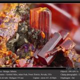 Realgar and StibniteMina Getchell, Pico Adam, Distrito Potosi, Montes Osgood, Condado Humboldt, Nevada, USAfov 5.2 mm (Author: ploum)