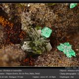 Olivenite and CornwalliteIbiajara District, Rio do Pires, Bahia, Northeast Region, Brazilfov 2.6 mm (Author: ploum)