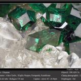 DioptaseDepósito Altyn-Tyube, Zona Altyn-Tyube, Estepas Kirguises, Región Karaganda, Kazajstánfov 5.2 mm (Author: ploum)
