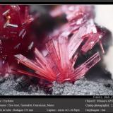 Erythrite<br />Aghbar Mine (Arhbar Mine), Bou Azzer mining district, Zagora Province, Drâa-Tafilalet Region, Morocco<br />fov 2.6 mm<br /> (Author: ploum)