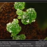 Adamite (variety cuprian adamite)Mina Potosí, Santo Domingo (Francisco Portillo), Distrito Santa Eulalia, Municipio Aquiles Serdán, Chihuahua, Méxicofov 4 mm (Author: ploum)