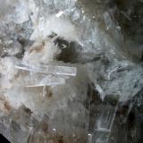 Strontioginorite<br />Kohnstein Quarry, Niedersachswerfen, Nordhausen District, Thuringia/Thüringen, Germany<br />Picture width: 10 cm, crystals up to 3 cm, total specimen 16 x 13 cm<br /> (Author: Andreas Gerstenberg)