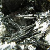 Schorl and Quartz<br />Erongo Mountain, Usakos, Erongo Region, Namibia<br />250x190x100mm<br /> (Author: Heimo Hellwig)