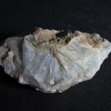 PrehnitaConil de la Frontera, Comarca La Janda, Cádiz, Andalucía, España6 x 3 cm. (Autor: prcantos)